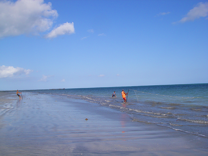 Locals hauling a beach seine.