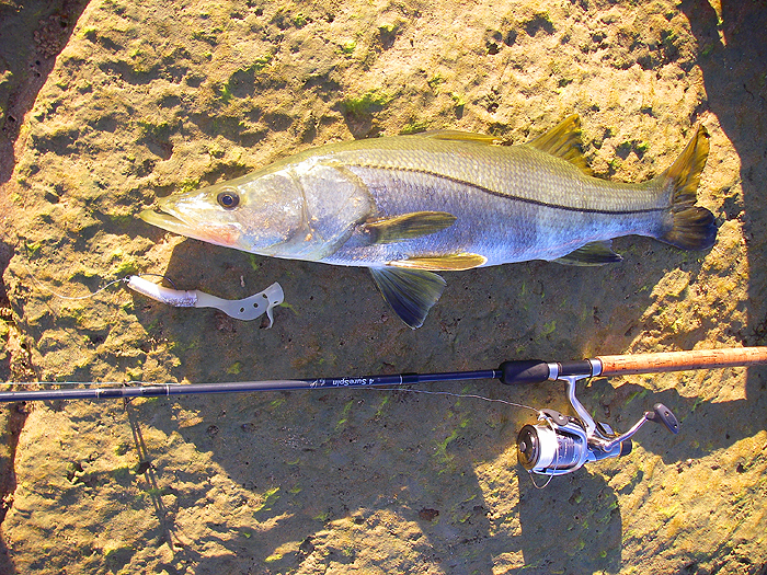 Slandra, 'bass rod', Stradic, Nanofil, Amnesia trace, and anti-barracuda wire.
