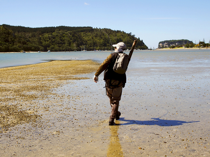 In hot persuit of a fast moving trevally.
