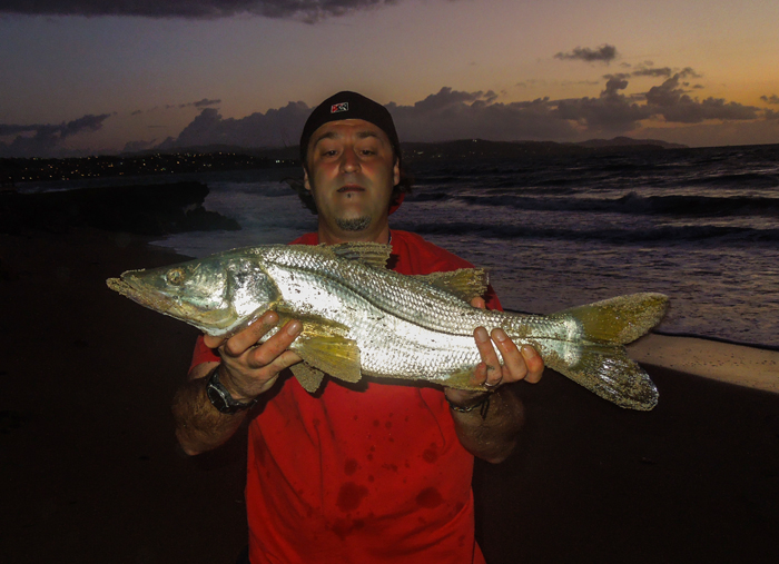 Over the years the snook fishing seems to have improved a lot.