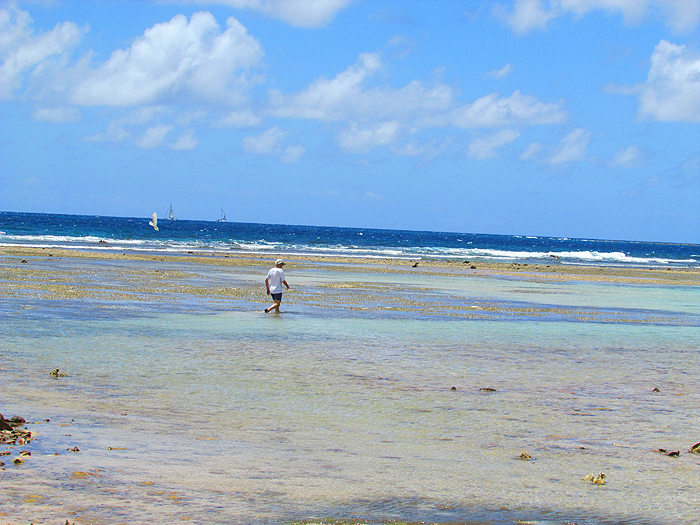 There were extensive flats in Cade's Bay. The bottom ranged from mud and turtle grass to coral rubble.