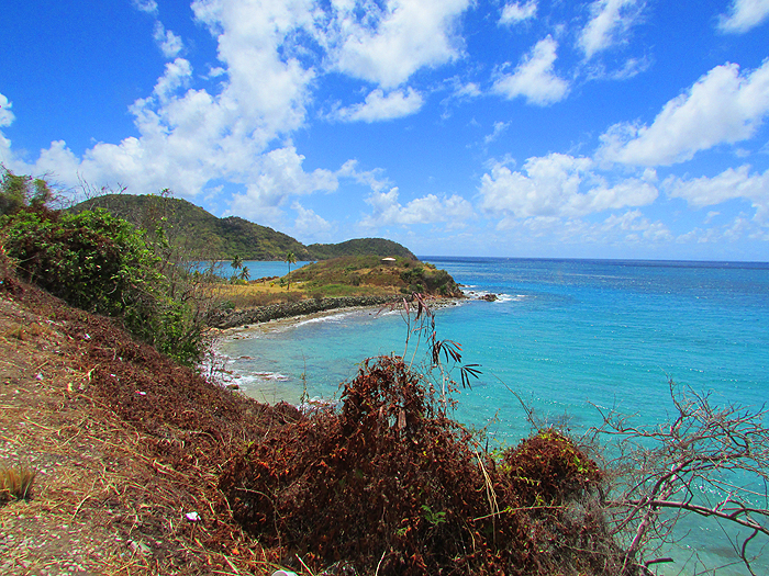 Near Pelican Island we found access to very deep water.