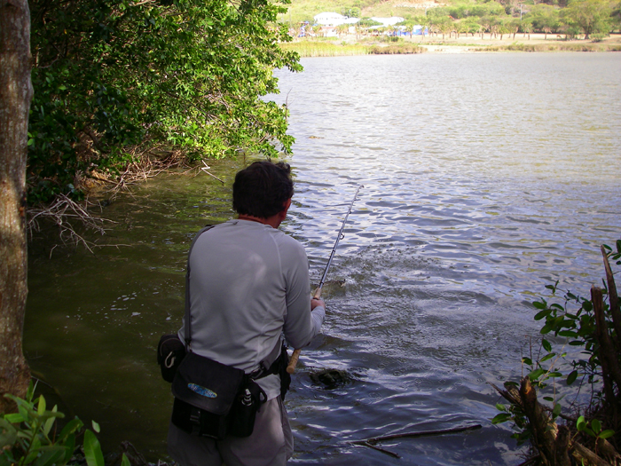 Steve playing a small tarpon in 'our' lagoon. They all pulled the string a bit and jumped a lot.