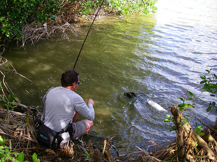 Even at this stage there's no guarantee the fish will come to hand.