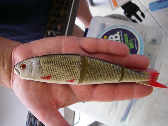 The larger tarpon liked Steve's big rubber fish but didn't stay hooked.