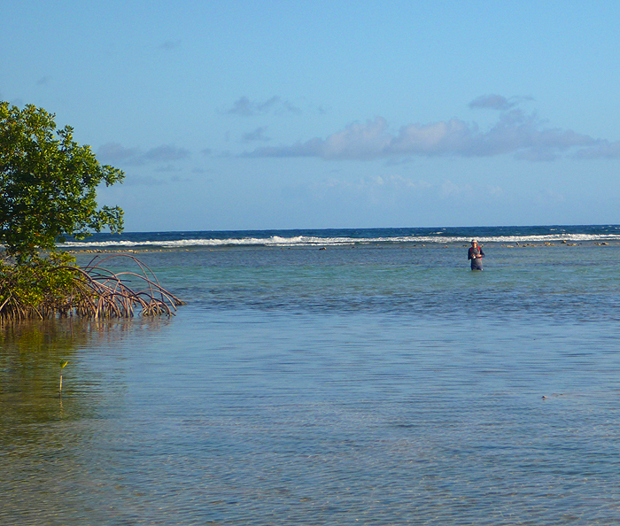 There were extensive flats in Cade's Bay. The bottom ranged from mud and turtle grass to coral rubble.
