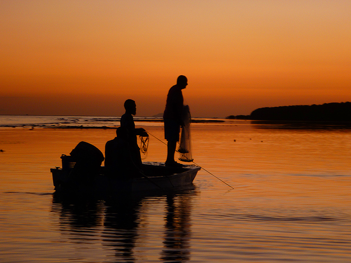 Every day the local fishermen used their cast nets to capture 'sprats' for bait, between the piers we fished from.
