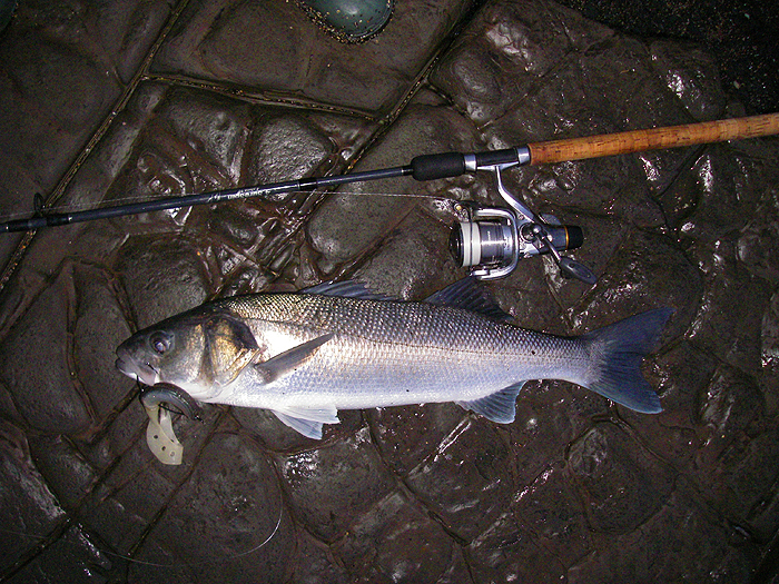 A very satisfying fish.