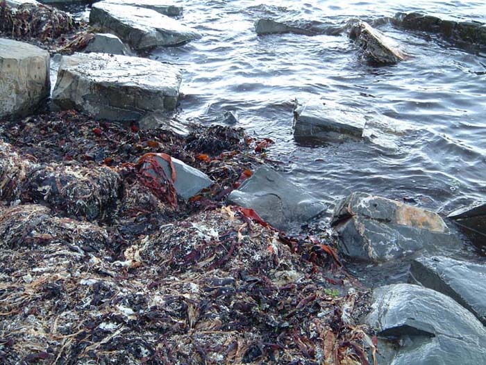 This was the one that I caught the fish by.