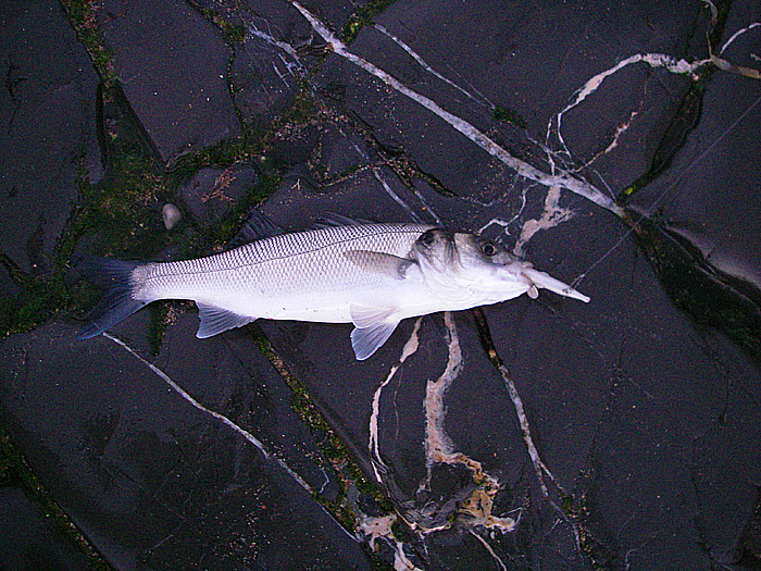 Somewhere between the other two I photographed.