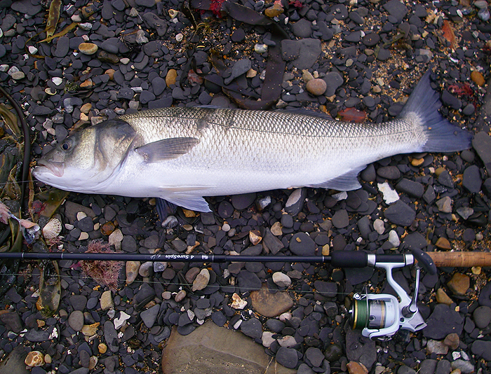 I wonder how big the one I missed was?