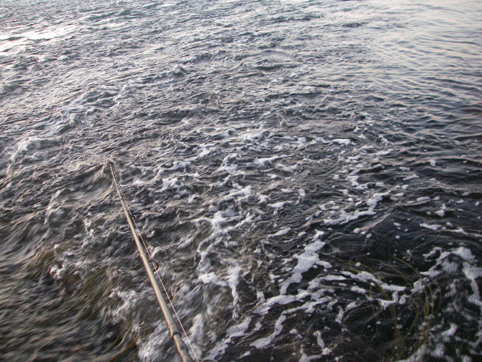 There are not many places where you can fish a race like this from the shore.