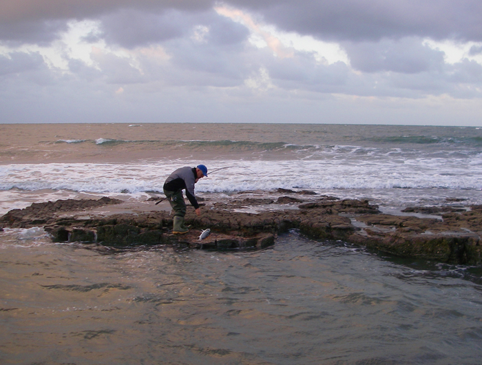 Nice fish! He has it ashore on a little ledge.