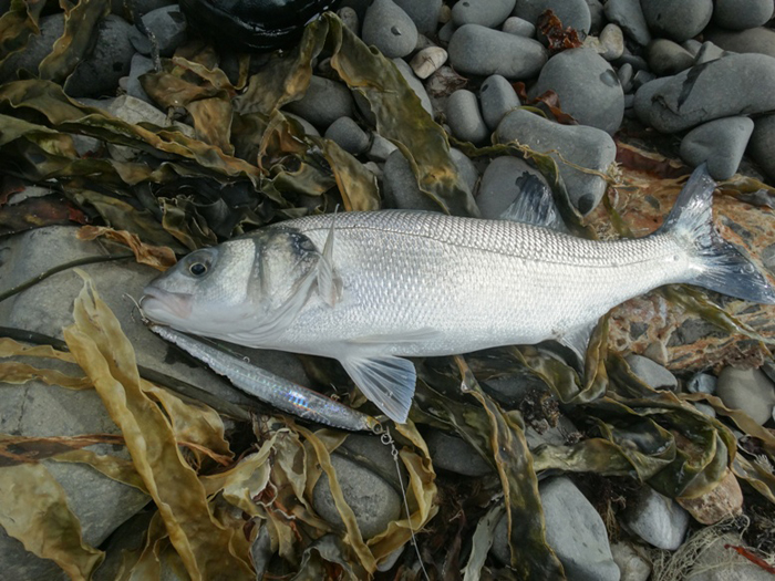 ---and another one on a plug.