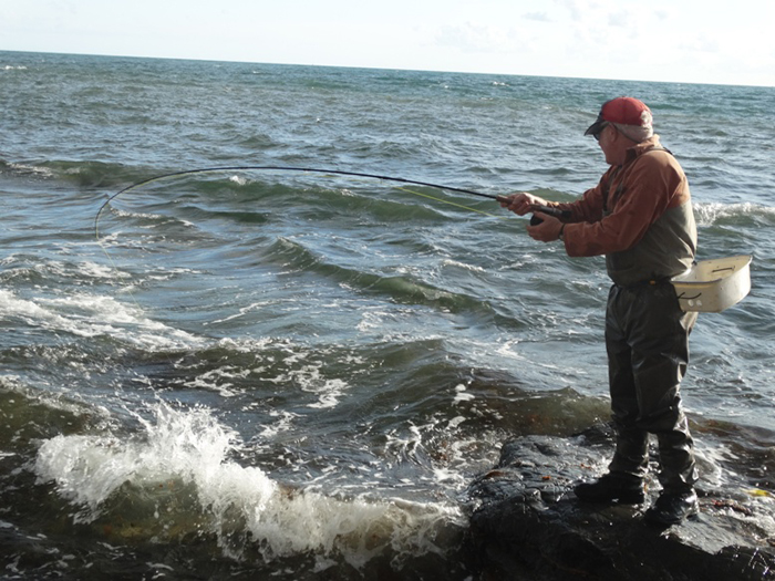 Nigel tussles with a mullet.