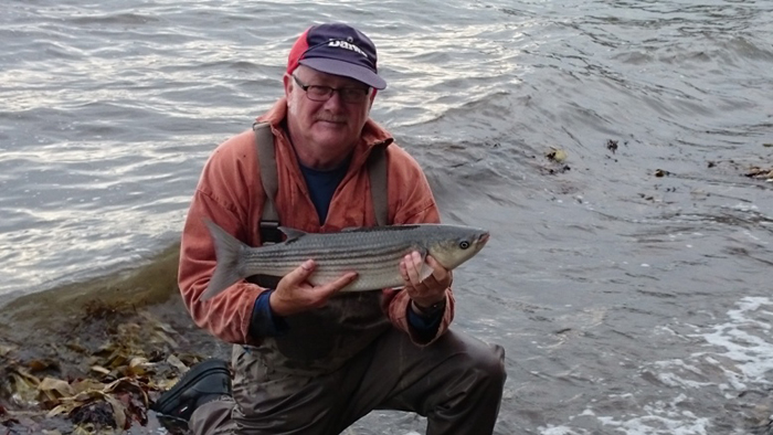 A beautiful, fly-caught, thicklip.