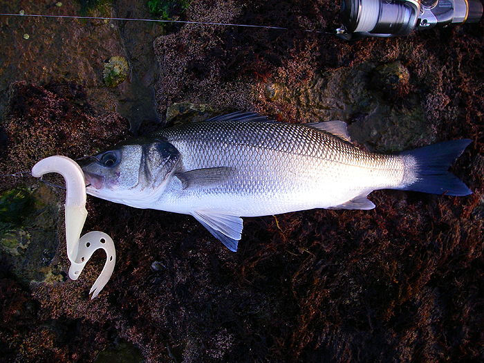 The big hook has released nicely.