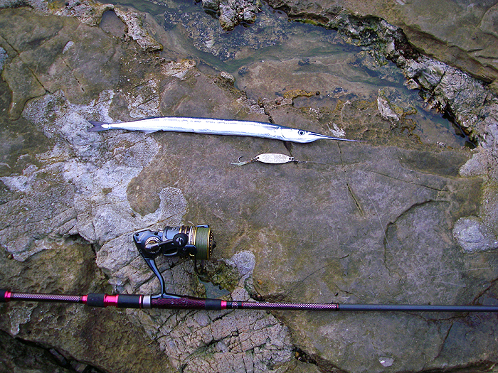 This one took the wedge on my second trip.