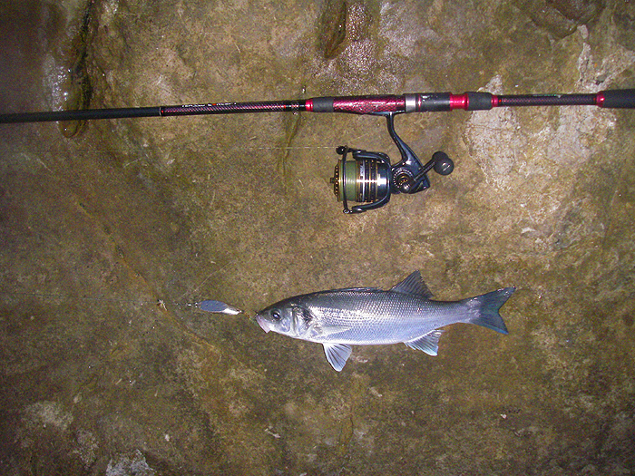 I don't normally use metal lures to catch bass so these were a bonus.