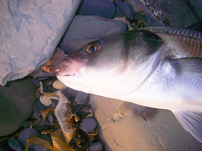 I guess the treble could be replaced by a single hook with no problems.