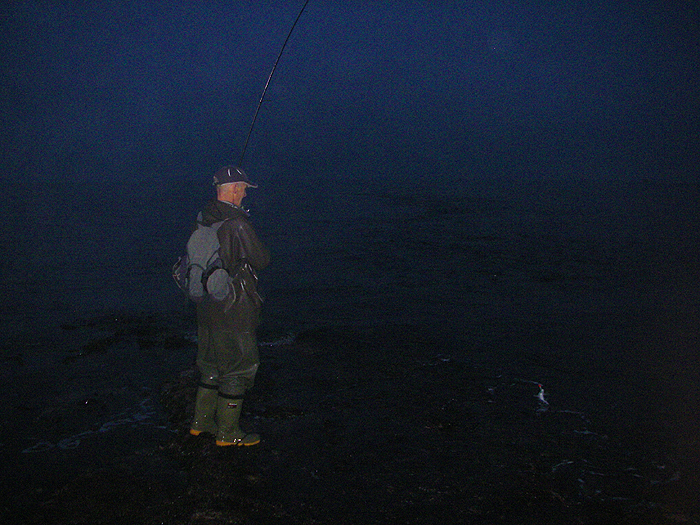 The red face of the lure is just visible as the fish slides towards the ledge.