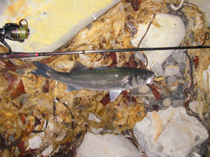 Mark plays his first bass in the gloom.