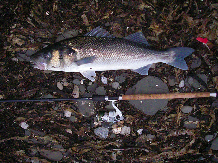 The big hook was just inside the mouth of the bass.