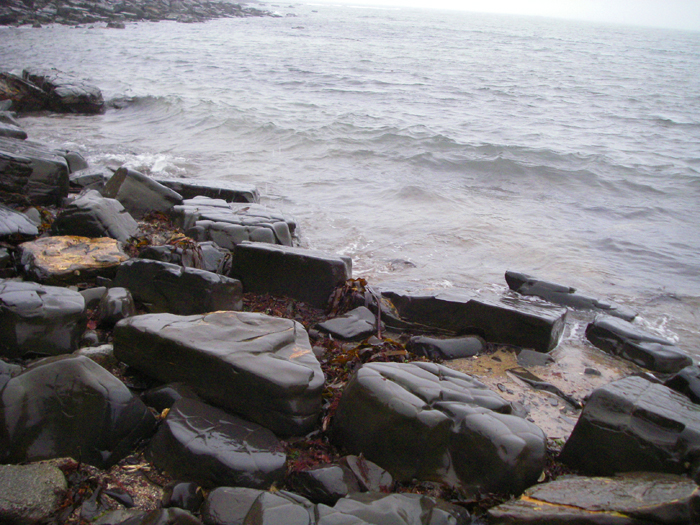 Reasonable bass fishing conditions even though it was a bit cold and windy.