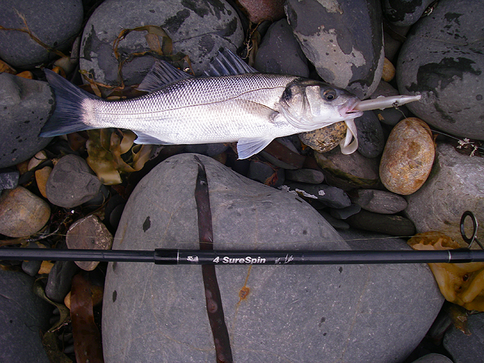 Not my biggest bass ever but very welcome in early April.