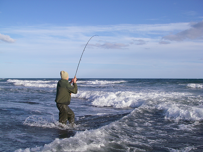 Every fish fought well in the strong cross current and surging waves.