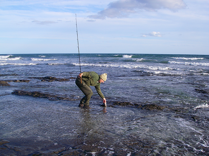 No need for nets when you can simply slide the fish ashore.