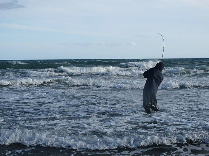 Phew - it was really good to feel something on the end after watching my pals catching bass.