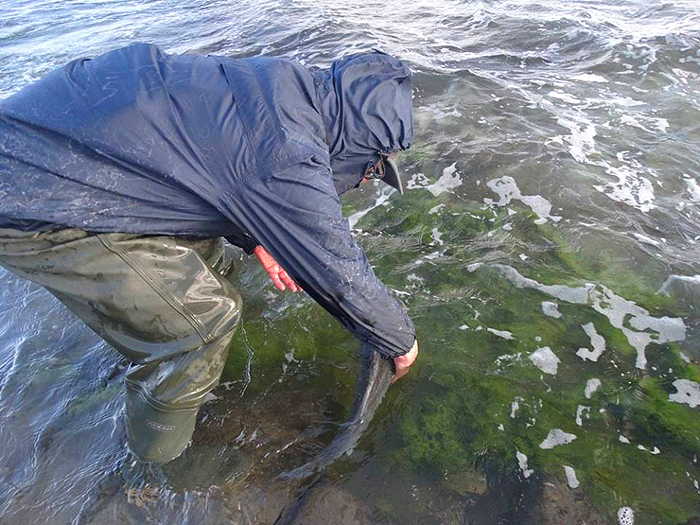 Back she goes, no worse for the experience.