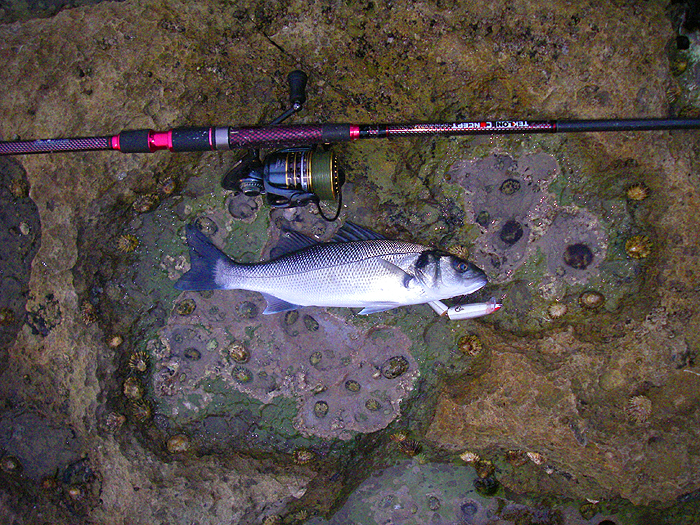 At least this was what I was after - if not as large as I would have liked.