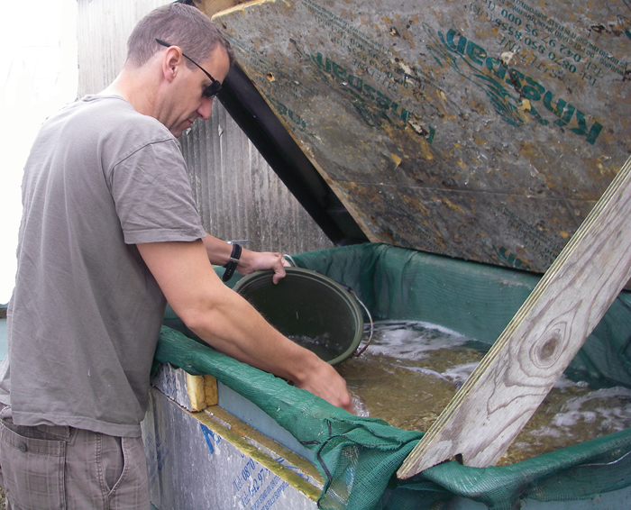 He has to be wary of the occasional weever which slips in unnoticed.