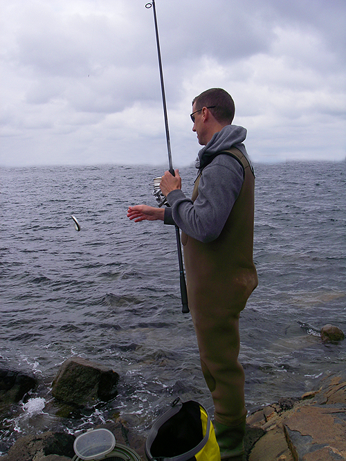 The bait's still alive and kicking.