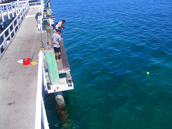 They never sit still to have their pictures taken.