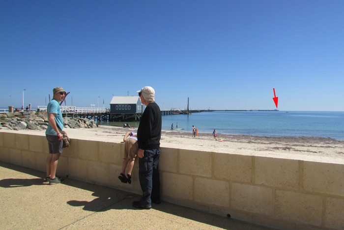 They never sit still to have their pictures taken.