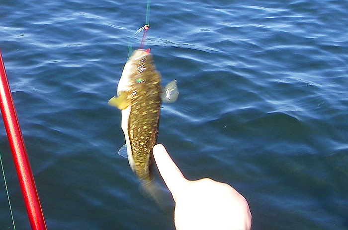 They never sit still to have their pictures taken.