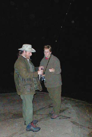 Scad have one or two nasty spines and should be handled with care.