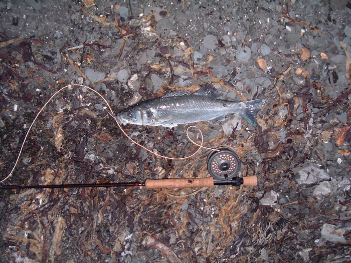 This one fought really well.