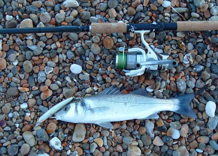 This is an effective, long-casting lure but quite difficult to feel its action on the end of the line.