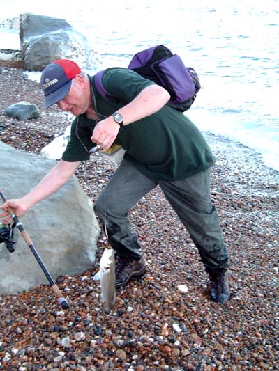 Only a little 'un but still a beautiful fish.