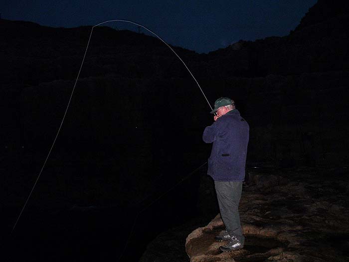 Nigel's fly rod bends into an early morning pollack. It's still pretty dark.