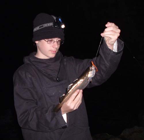 One of the smaller pollack but a spirited fighter and quite likely to plunge into the kelp.