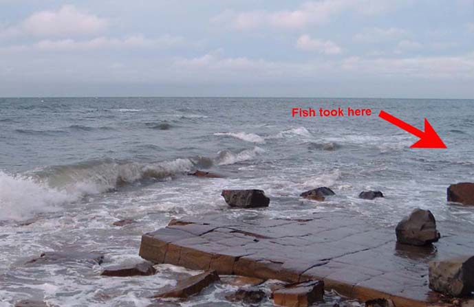 The water was very shallow and the waves soon pushed my tackle round to the right.