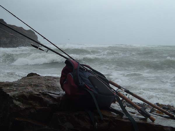 It always amazes me how the fish are totally untroubled feeding in such heavy seas.