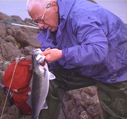 This fish took the lure (one I had not tried before) with a real wallop.