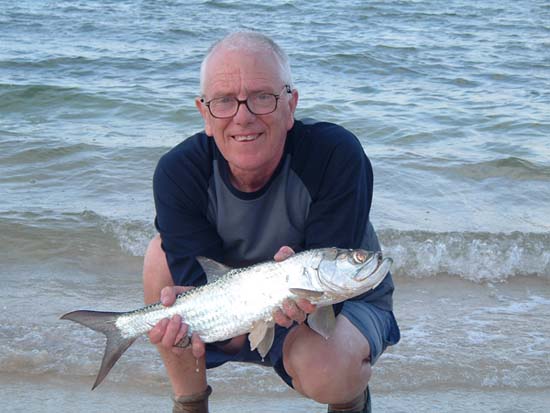 A small tarpon taken on my fly gear.