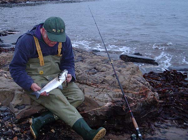 Not a big fish but very pleasing.